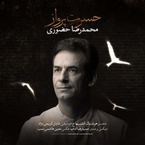 دانلود آهنگ محمدرضا حضورى به نام حسرت پرواز